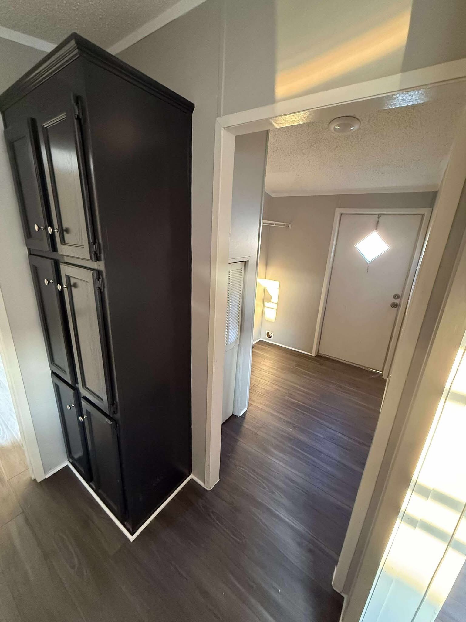 Modern hallway with dark wood flooring, gray walls, and a large black cabinet on the left. Soft light from a lamp near the door adds warmth.