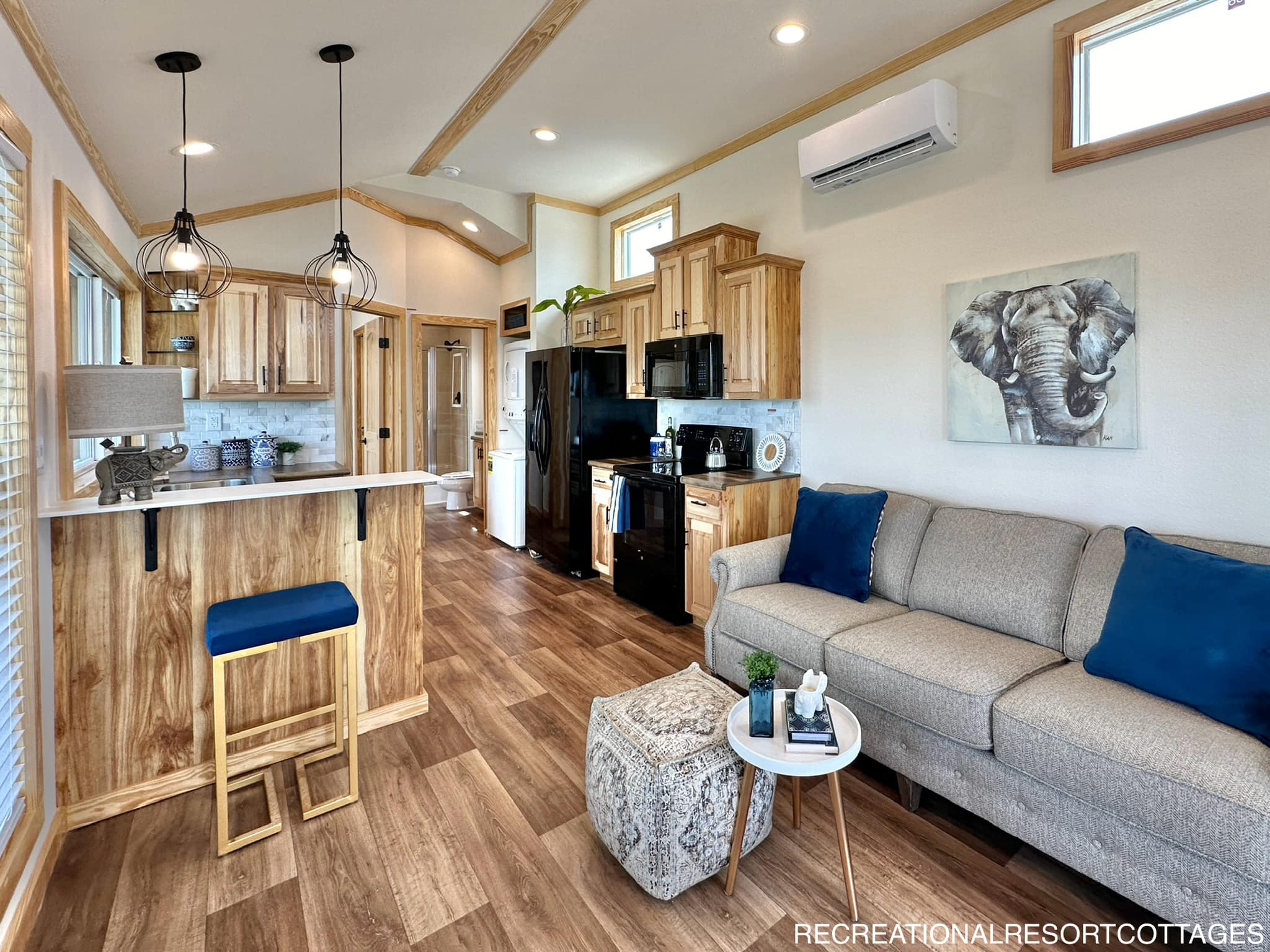Modern tiny house interior with a cozy living area featuring a gray sofa, blue cushions, and an elephant painting. Wooden kitchen, black appliances.