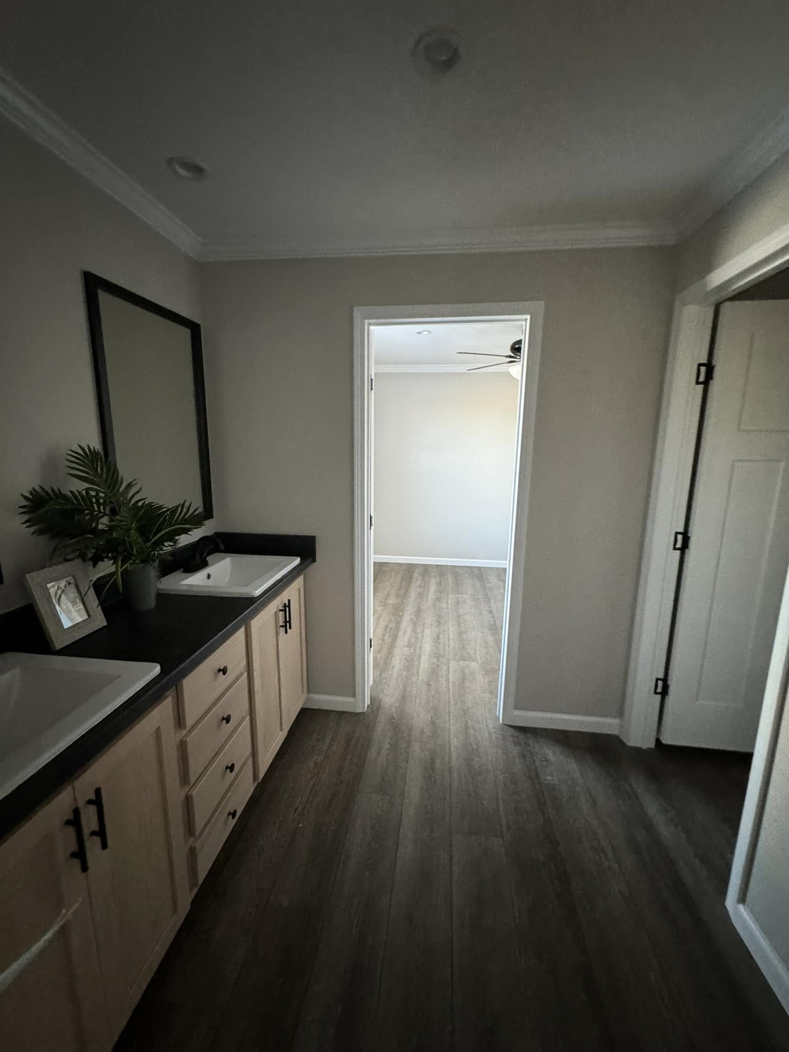 Modern bathroom with wood flooring, a double sink with black countertop, wall mirror, and plant decor. Doorway leads to a bright, empty room.