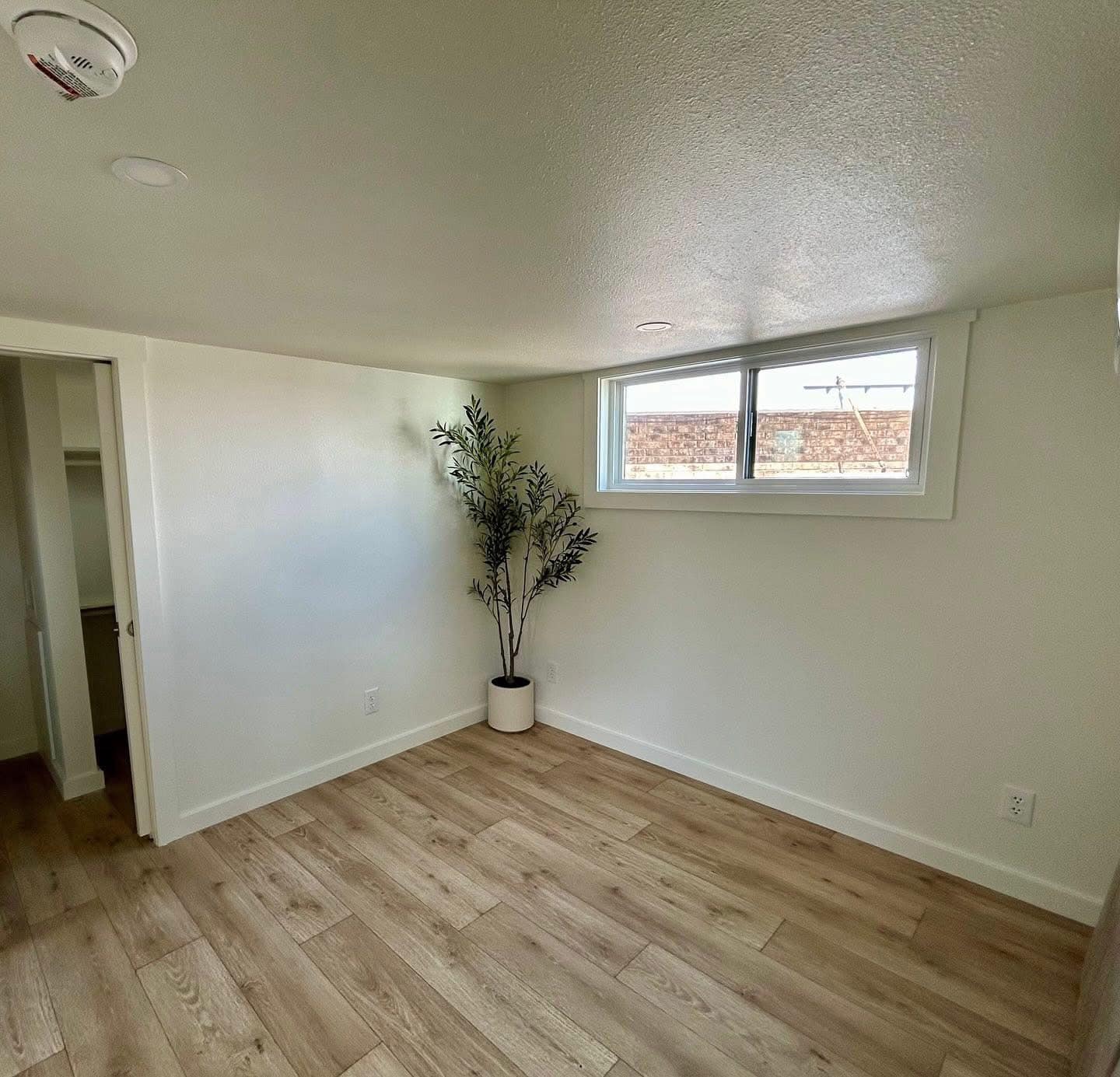 Minimalist room with light wood flooring, white walls, and a narrow window. A potted plant adds greenery. Bright, clean, and modern atmosphere.