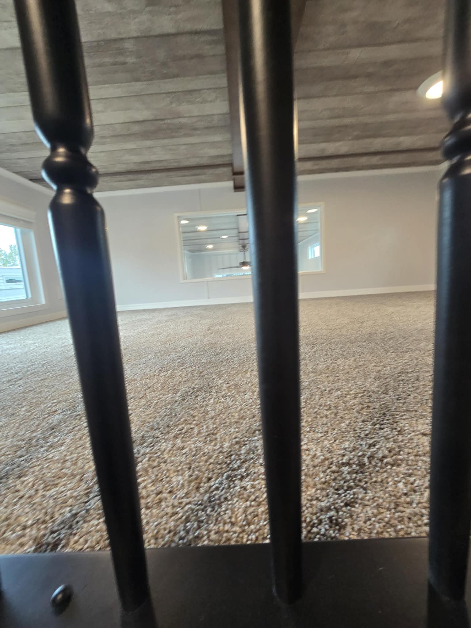 View of a spacious, beige carpeted room through black vertical bars, with wooden ceiling panels and large windows, conveying an open, airy feel.