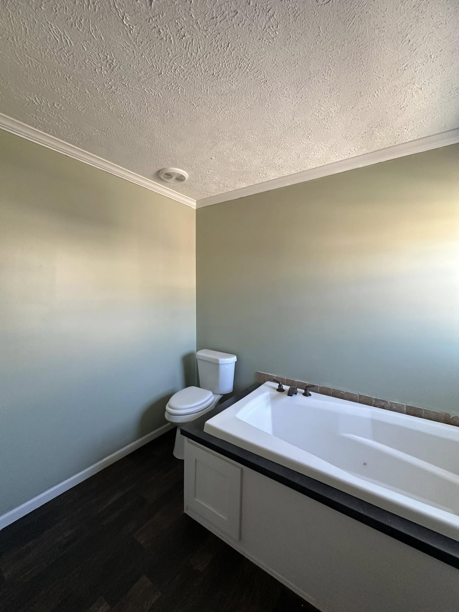Simple bathroom with light green walls, featuring a white bathtub and toilet. Dark wood floor and calm atmosphere enhance the minimalist design.