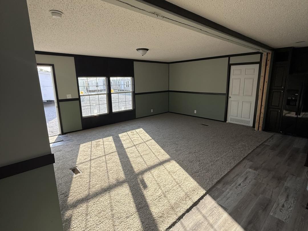 Sunlit room with large windows casting shadows on beige carpet, green walls with black trim, and a white door. The atmosphere feels calm and spacious.