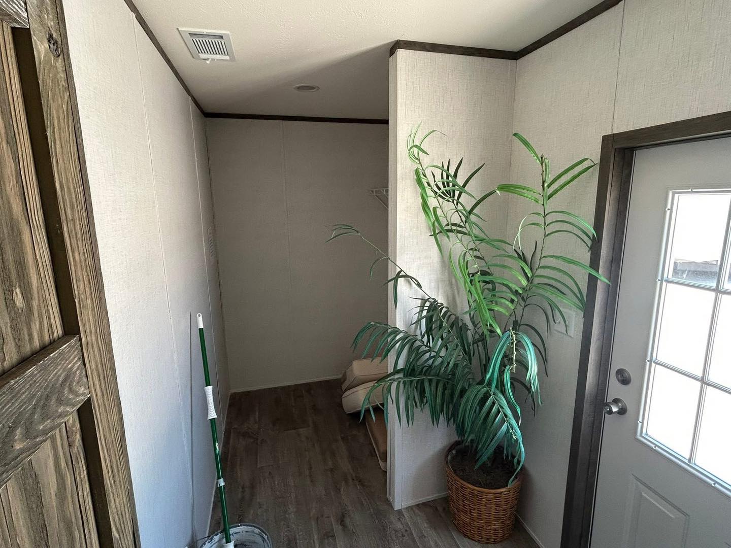 Hallway with light wood flooring, a tall green plant in a woven pot by a door with glass panes. A broom leans in the corner, creating a tidy atmosphere.