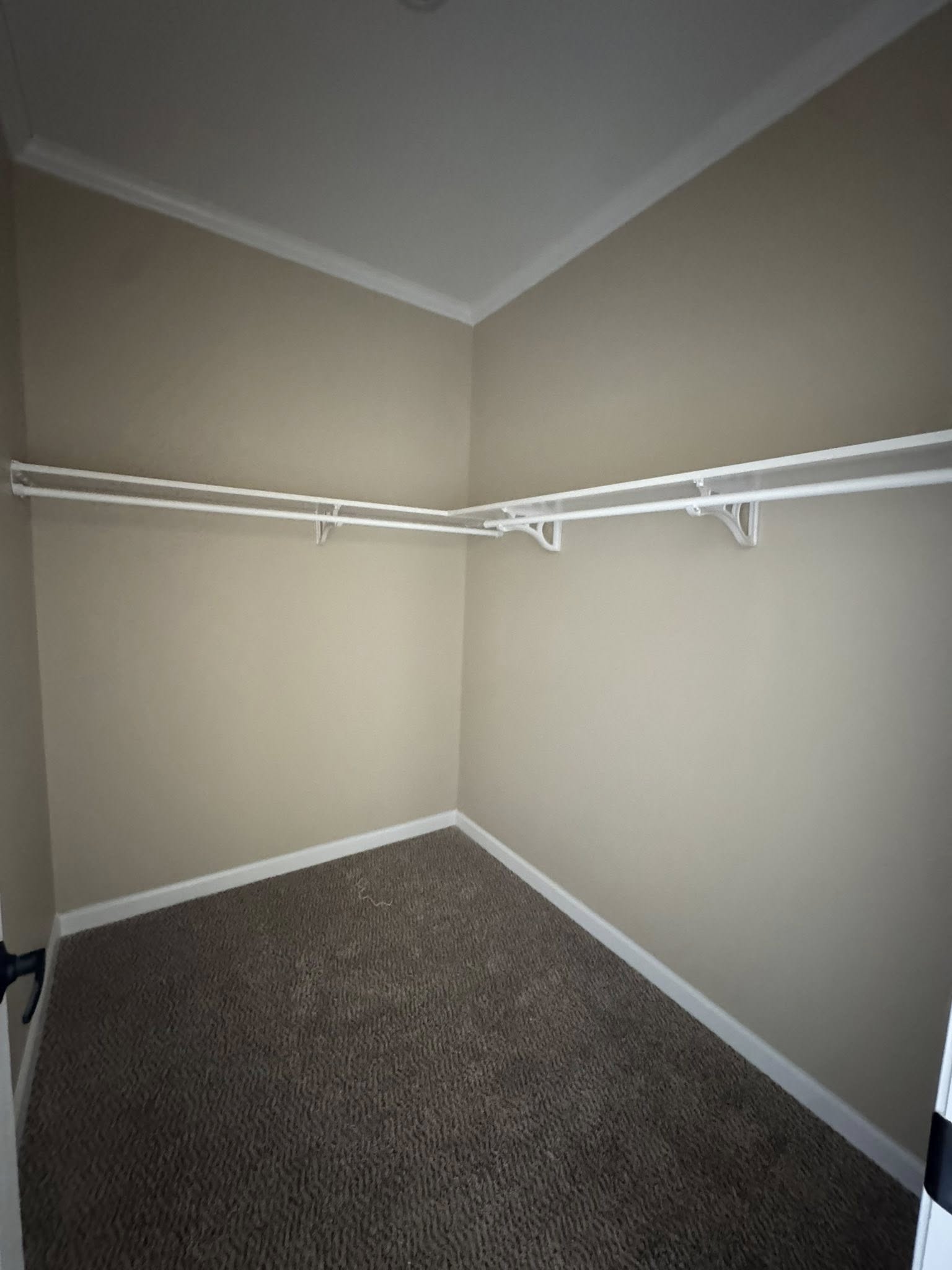 Empty beige closet with two white wire shelves running along adjacent walls above brown carpet. The space is clean and well-lit.