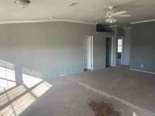 Spacious, empty room with gray walls and a ceiling fan. Sunlight streams through large windows, casting shadows on the carpeted floor, which has a large stain.