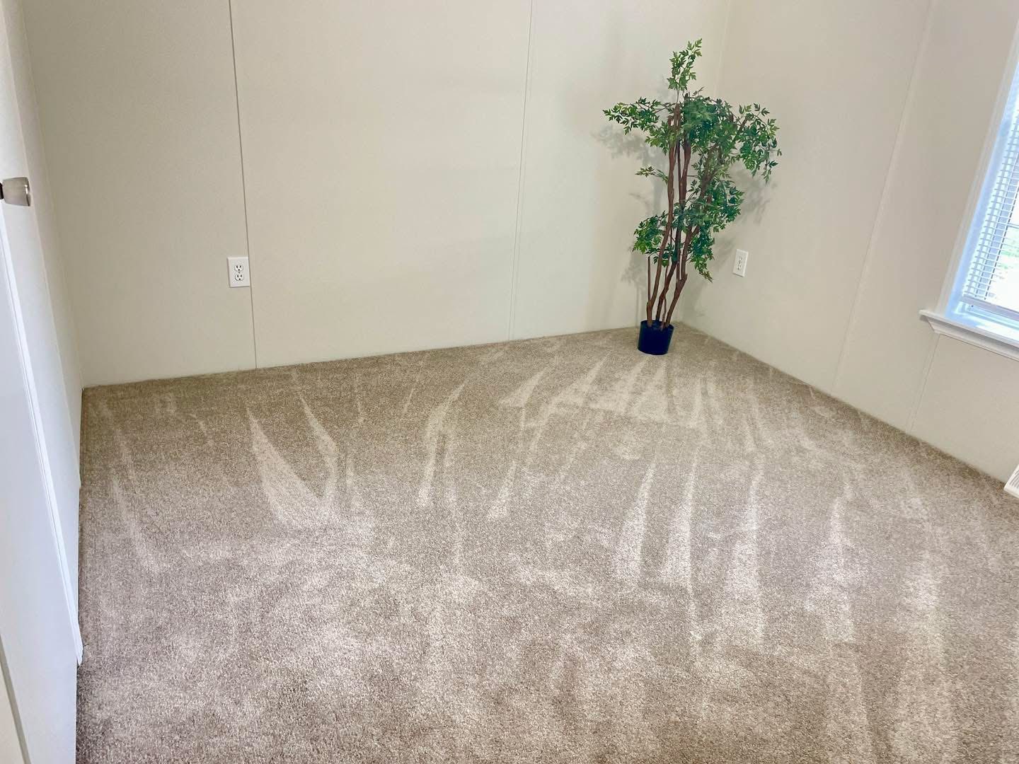 Empty room with beige carpet and cream walls, featuring a potted plant in the corner. Sunlight streams through a window, creating a calm ambiance.
