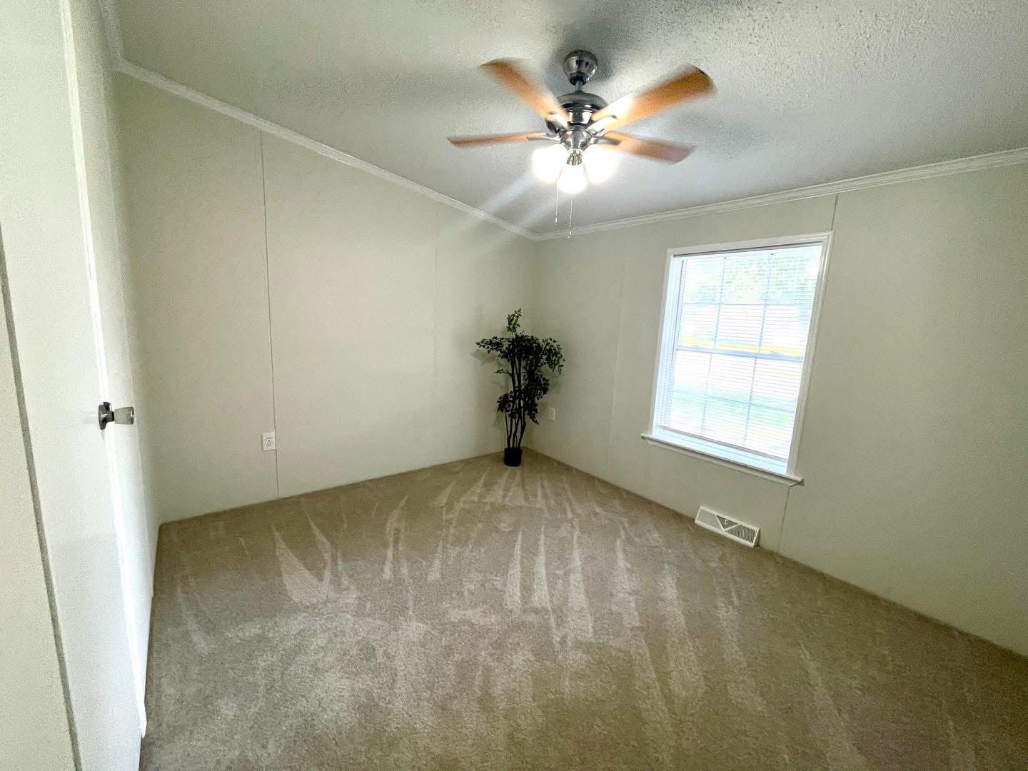 A bright, empty room with beige carpet and walls. A potted plant stands in the corner. A window with blinds lets in natural light, and a ceiling fan is centered above.