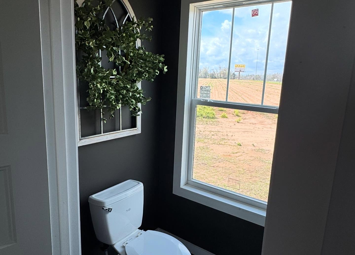 Small bathroom with dark walls, featuring a white toilet. A decorative artificial plant hangs beside the window, showing a sunny outdoor landscape.