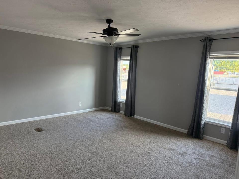 Spacious room with grey walls and carpet, featuring two large windows with dark curtains. A ceiling fan adds a modern touch. Natural light fills the space.