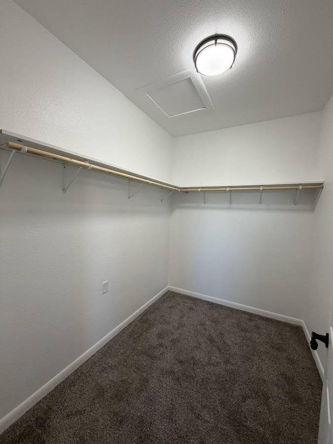 Empty walk-in closet with white walls, gray carpet, and a ceiling light. Wooden shelves extend along two walls, creating a clean, minimalist space.