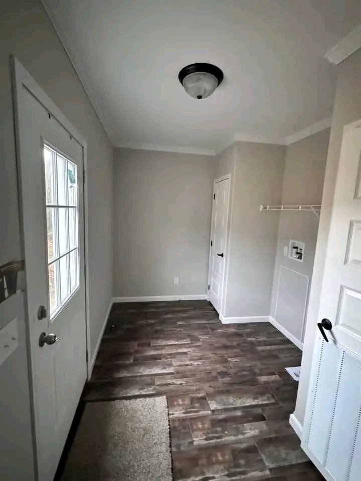 Bright, narrow mudroom with wood-patterned floor, light gray walls, and a frosted glass door on the left. A plush rug lies near the entryway.