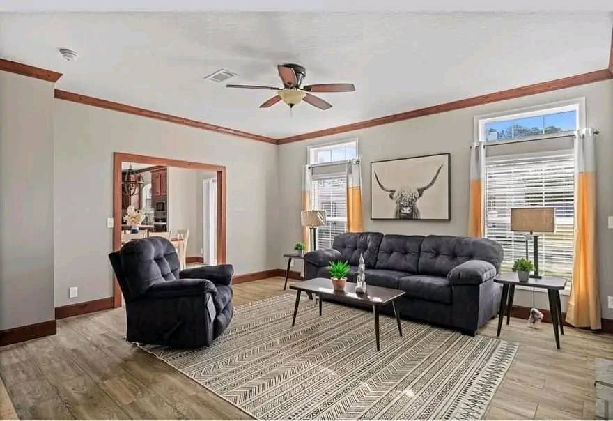 A cozy living room with gray walls features a dark blue sofa and recliner on a patterned rug, flanked by windows with orange curtains. A bull artwork hangs above the sofa, providing a rustic touch. Wooden floors and a ceiling fan add warmth, while potted plants on the coffee and side tables bring freshness. Visible dining area in the background.